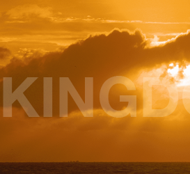 Kingdom Builders